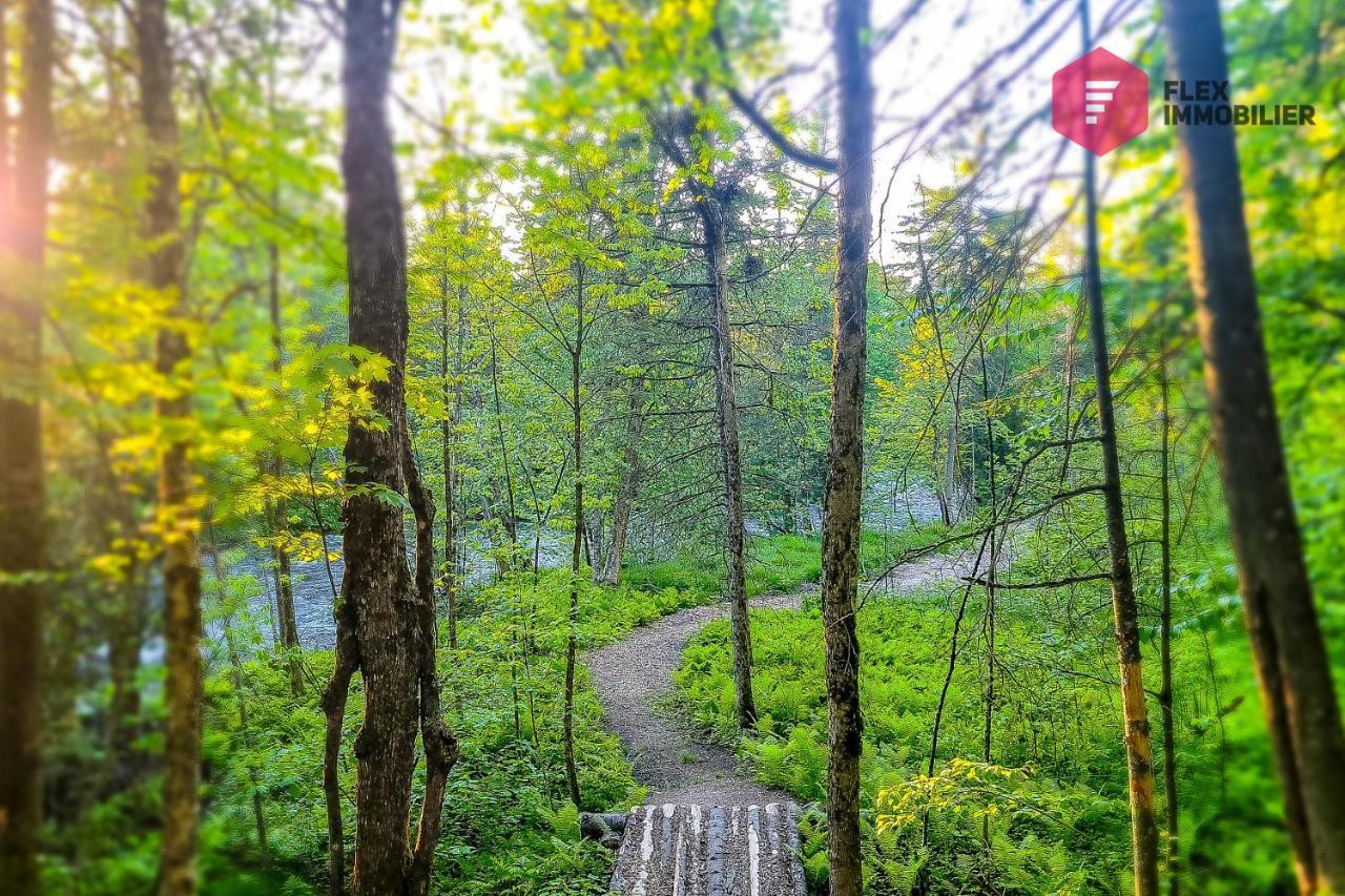 The Halo / Spa Sauna Pool Billiards Hiking / 25 Min From Quebec Pont-Rouge Exteriér fotografie